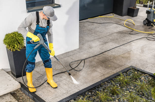 Best Exterior Home Cleaning  in Ofallon, IL